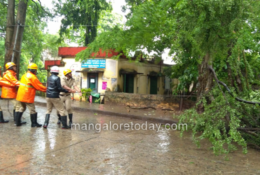 Bhavanthi Stre...